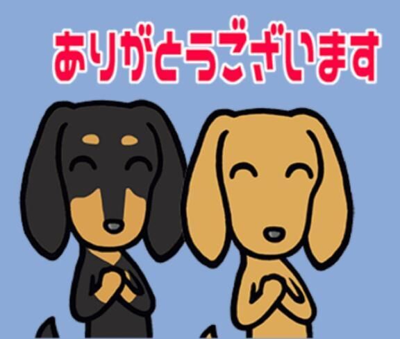 P指様、ありがとう