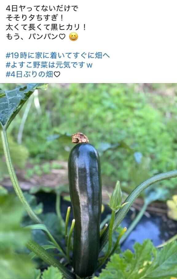 りの-言い方(笑)