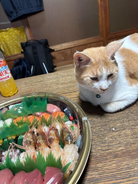 狙われてる