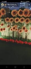 生電話