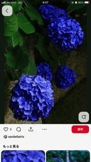 リフレッシュ