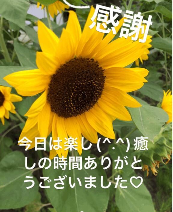 お礼です&#9825;