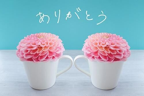 6/30　10時からお礼です(♡♡♡♡♡♡♡♡♡)♡