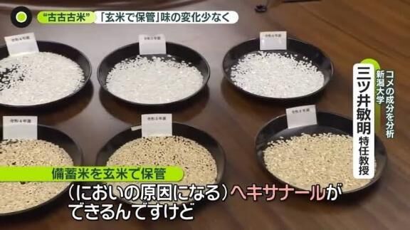 ブレンド米