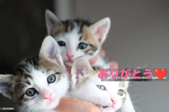 昨日のお礼です&#128522;