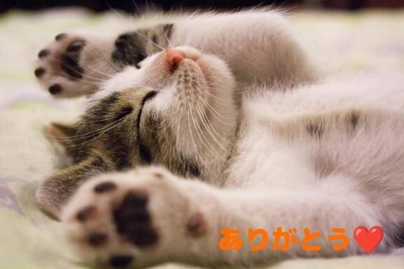 昨日のお礼です&#128522;