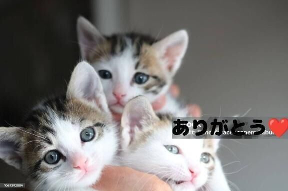 昨日のお礼です&#128521;