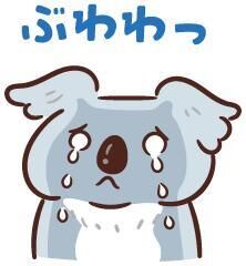 久しぶりに