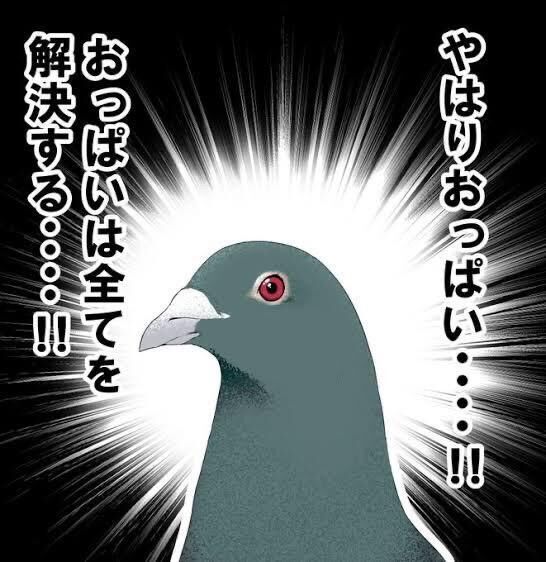 休み！ごめんなさい！