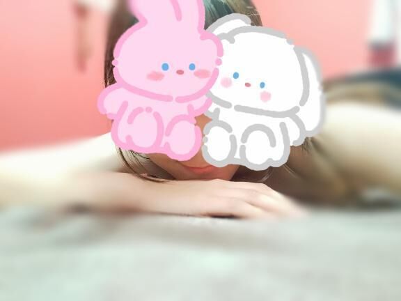 次の予定日