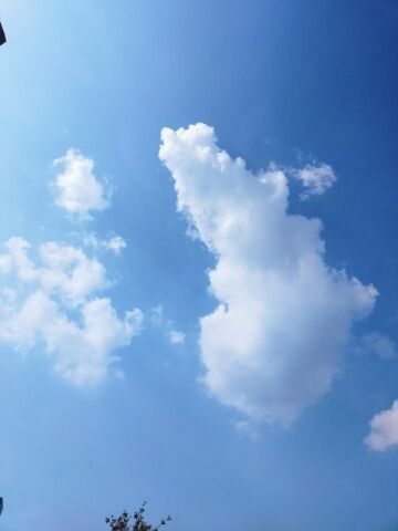 青空ですが...