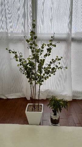 束の間の癒し&#9825;をいかが&#9825;(*^^*)