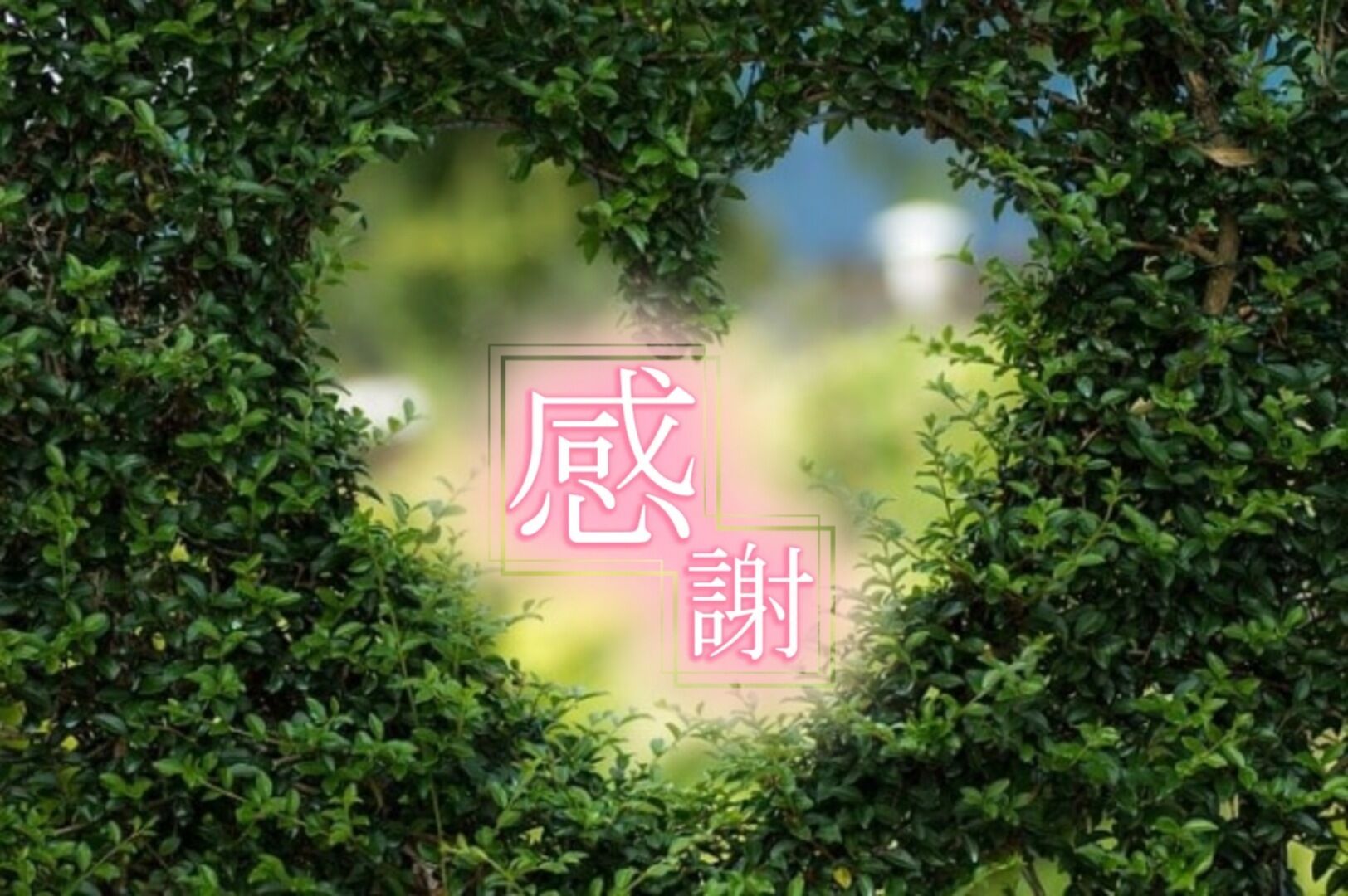 感謝です♪