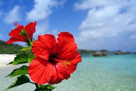ご予約ありがとう&#127802;&#10024;
