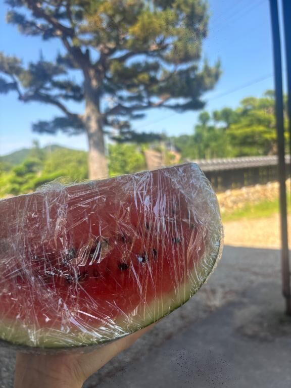 夏は田舎が1番☀️