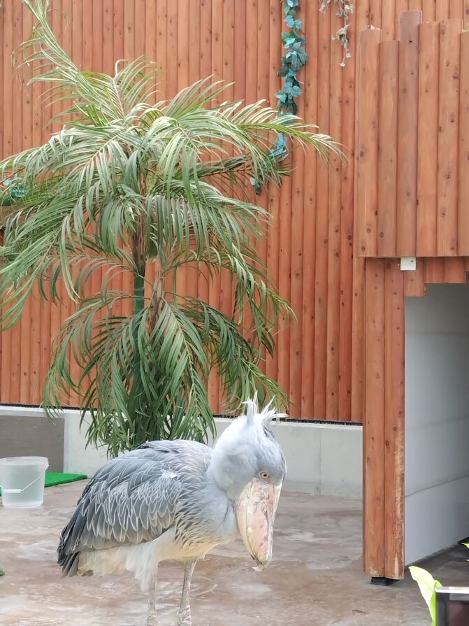 (水)(木)遊びに来てね(*^▽^*)