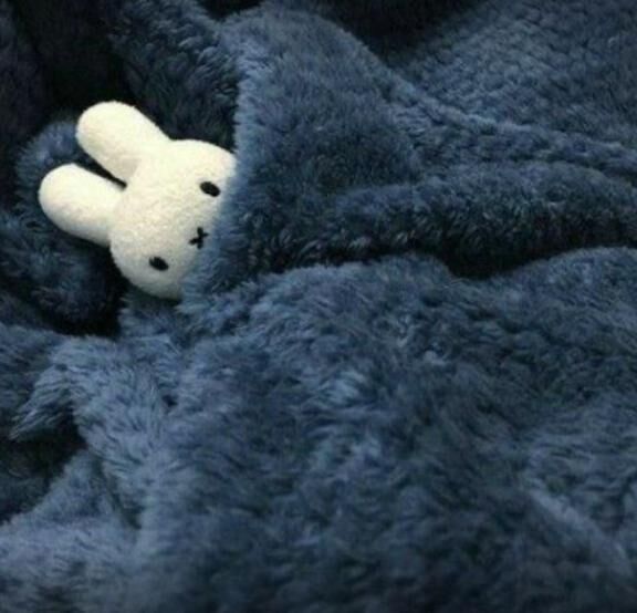 おはようございます！
