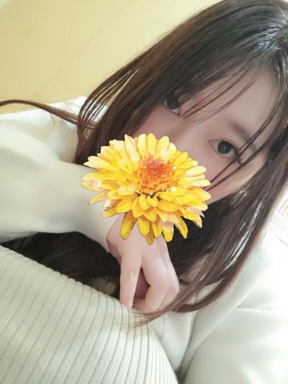 戻りました！