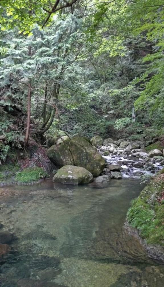 李皆様…李勺待機中です勺
