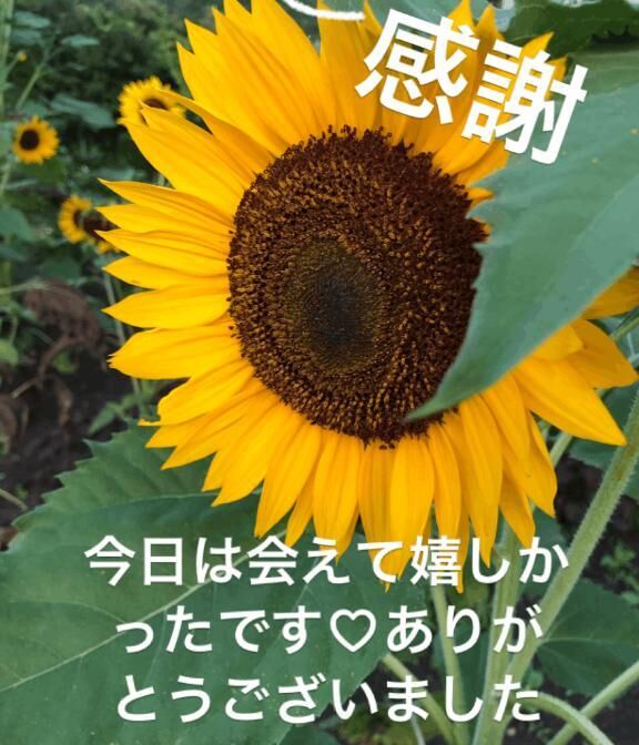 お礼です&#9825;