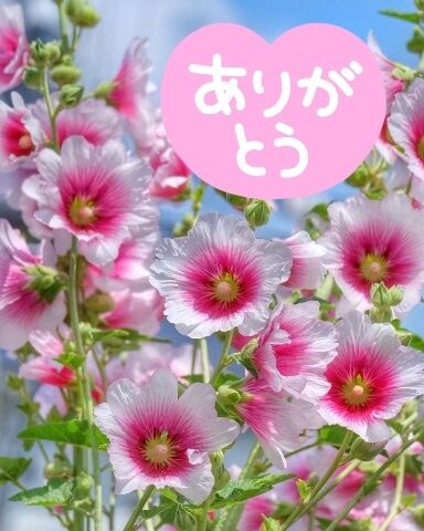 ありがとうございました