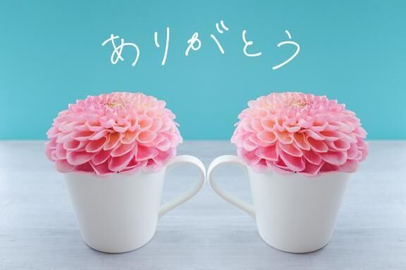 ありがとう&#9825;