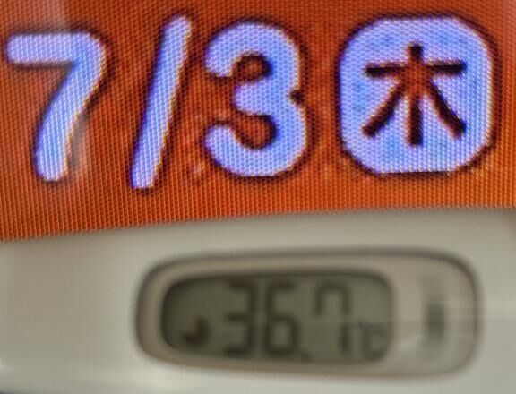 出勤します^o^