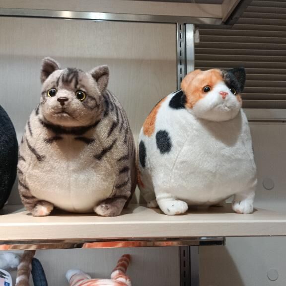 似てる