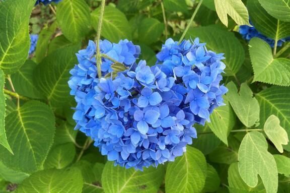 [お題]from:当たってた？さん