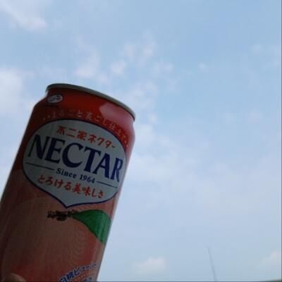 ＊おはようございます＊