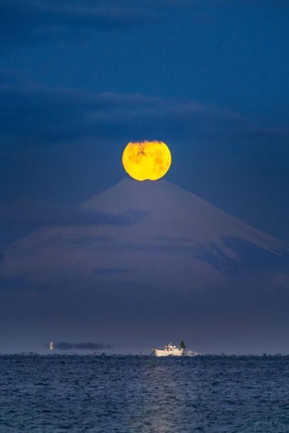 しれっとおやすみ