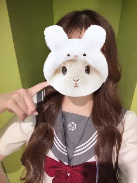 冀