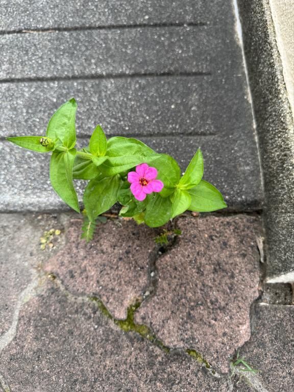 こんにちは♪