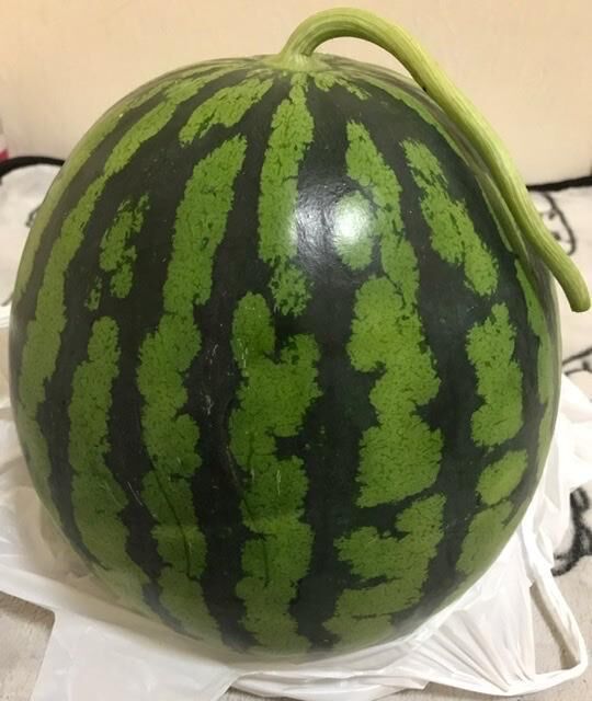 &#129316;