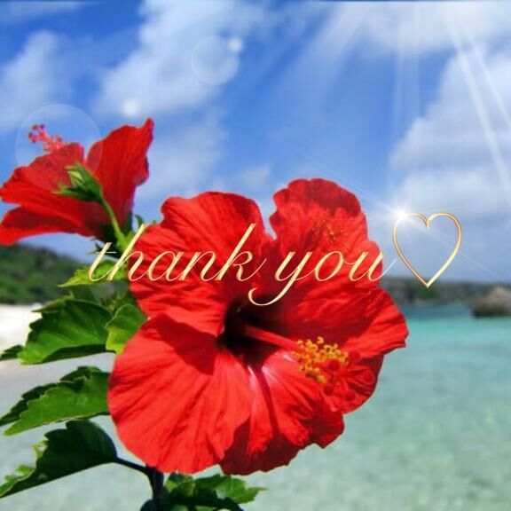ご予約ありがとうございます&#127802;