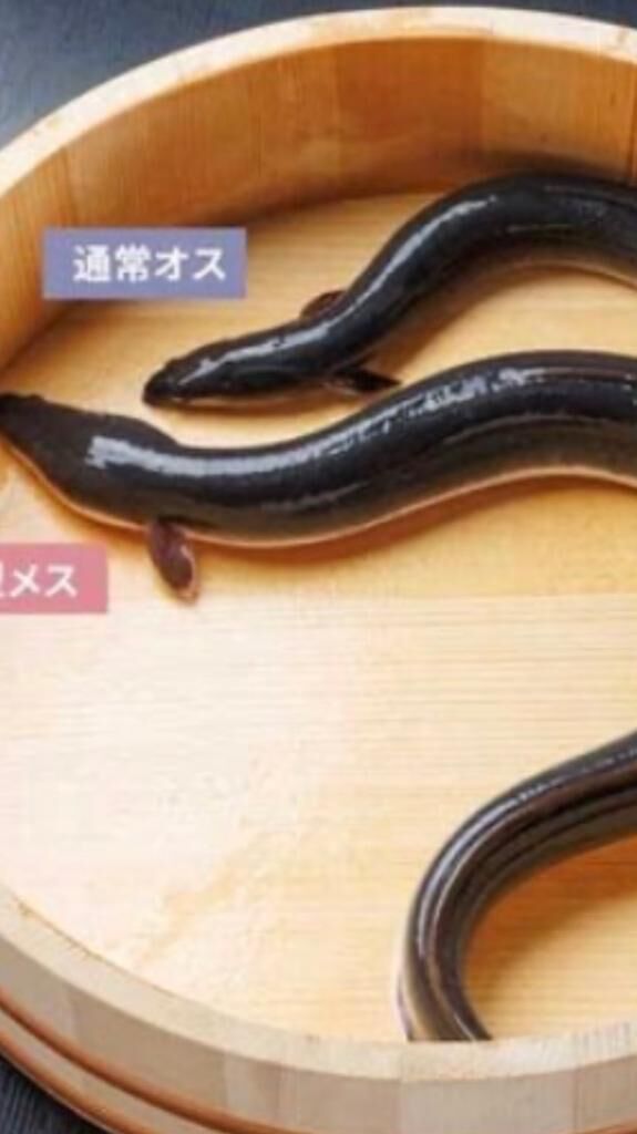 こんばんわ！