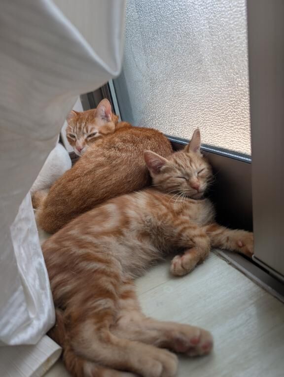 おれい&#9825;