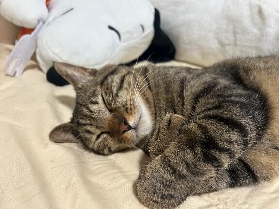 おやすみ^_^