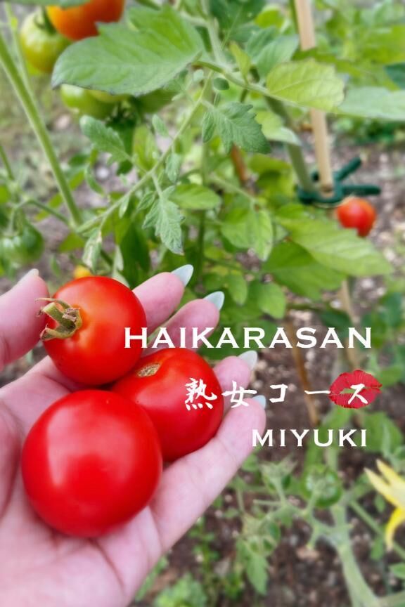 &#9825;おはようございます&#9825;