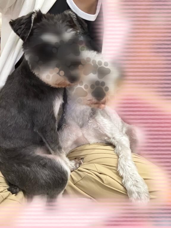 &#10084;&#65039;朝からとろけちゃお&#129401;&#128151;