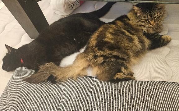 今日休み