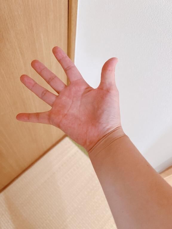 今日は