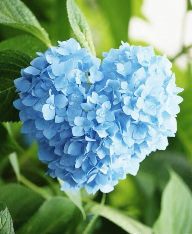 稲沢市はじめましてさま&#9825;
