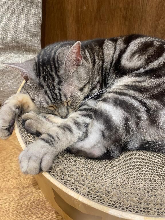 2日目