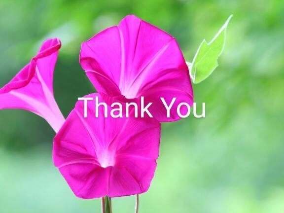 Thanks&#9825;