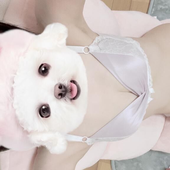 つゆあけ&#9825;