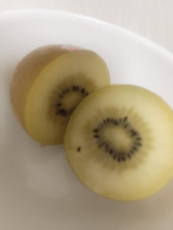 諾懶
