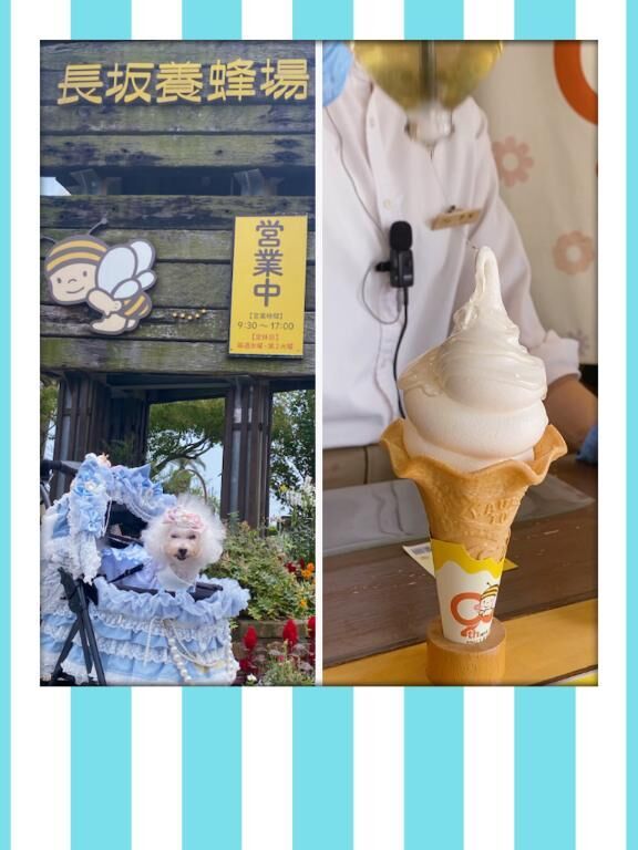 お出かけ&#9825;&#9825;&#9825;