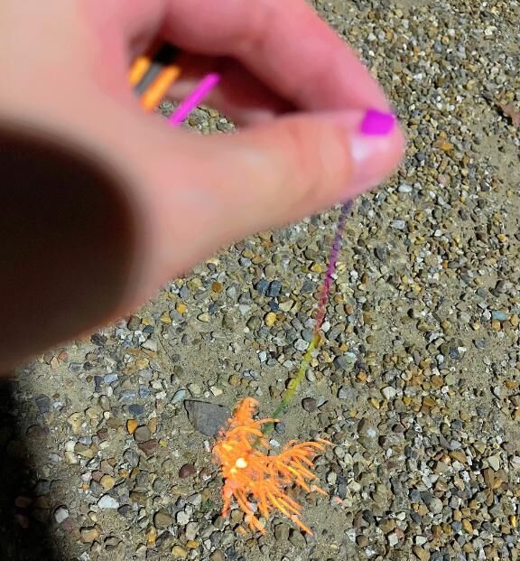 さきどり&#127878;&#128149;