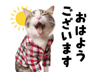 朝から…